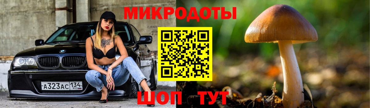 Галлюциногенные грибы Cubensis Хабаровск
